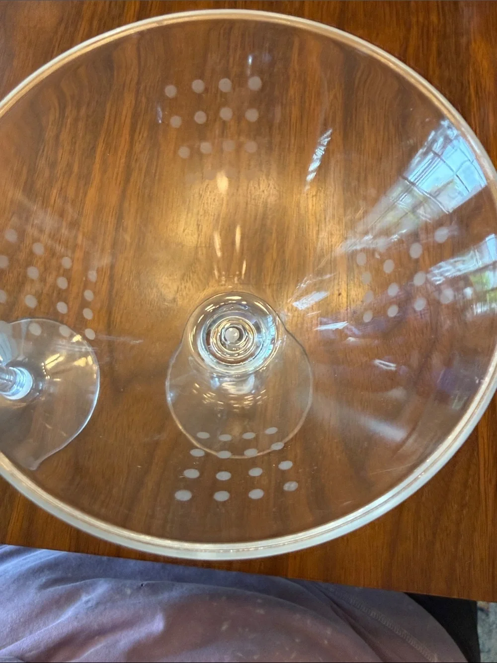 Crate and Barrel Plastic Martini Glasses